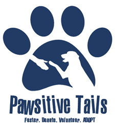 Pawsitive Tails